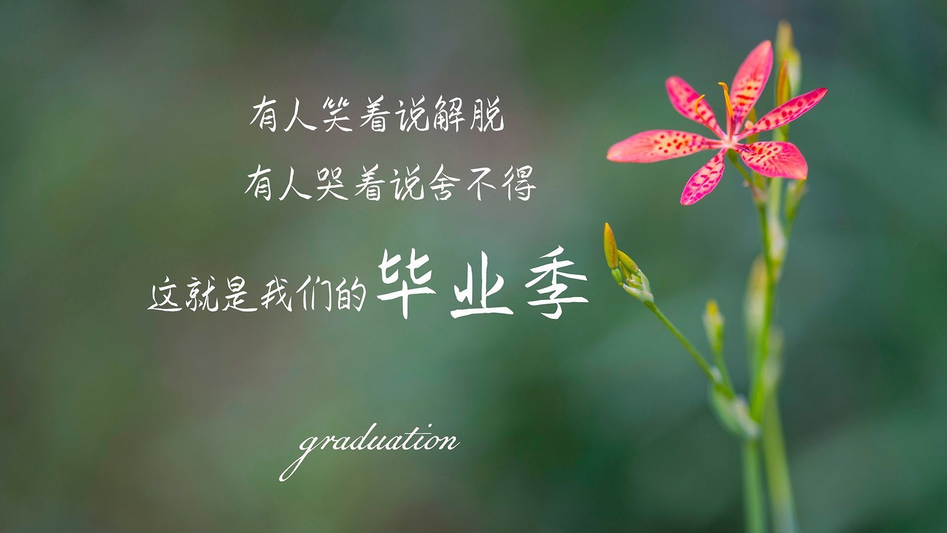 _湖人精神焕发，迎来连胜高潮_，湖人lbj