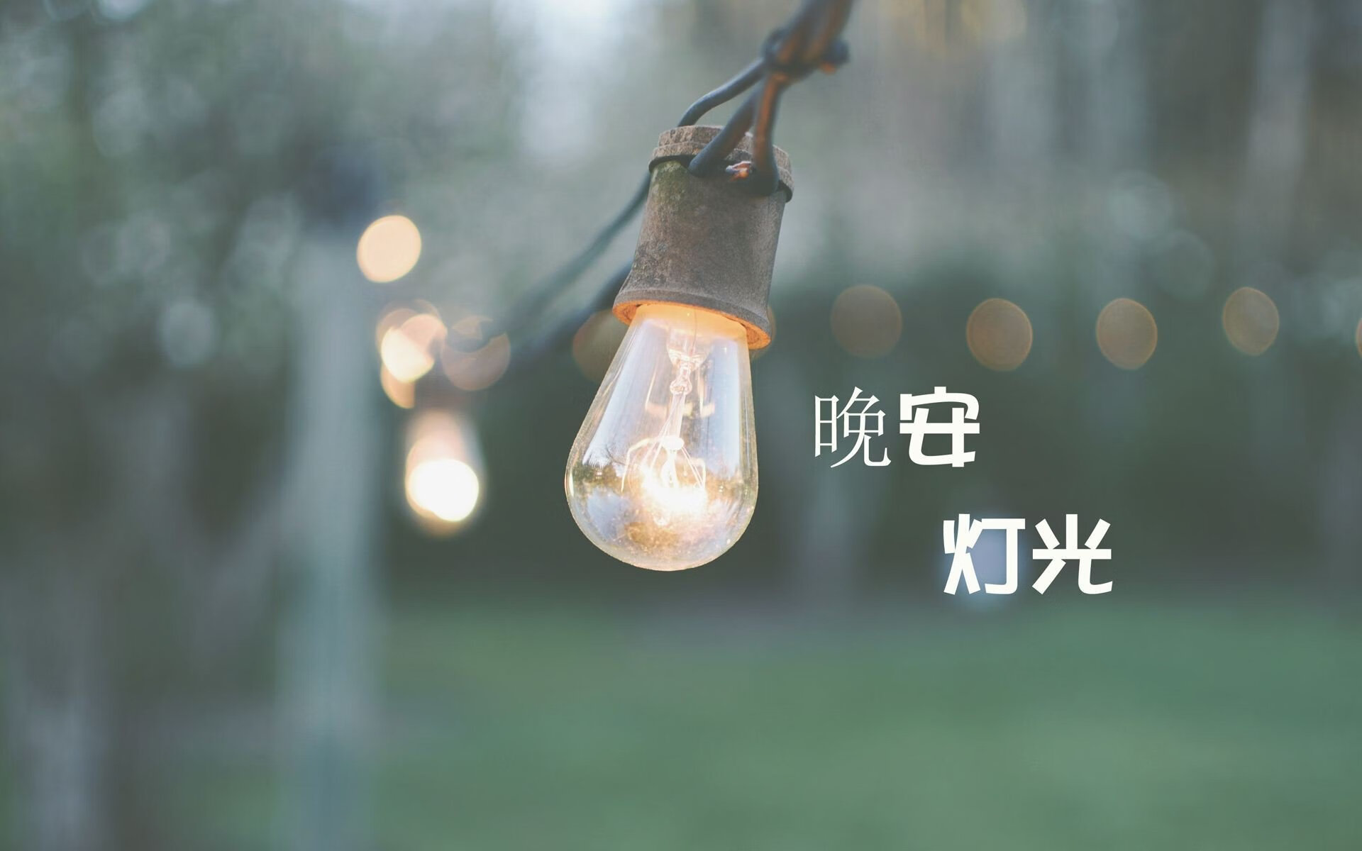 开云·体育官网APP下载-篮球职业联赛观众服务体验持续改进，篮球比赛观众体验和参与的重要性