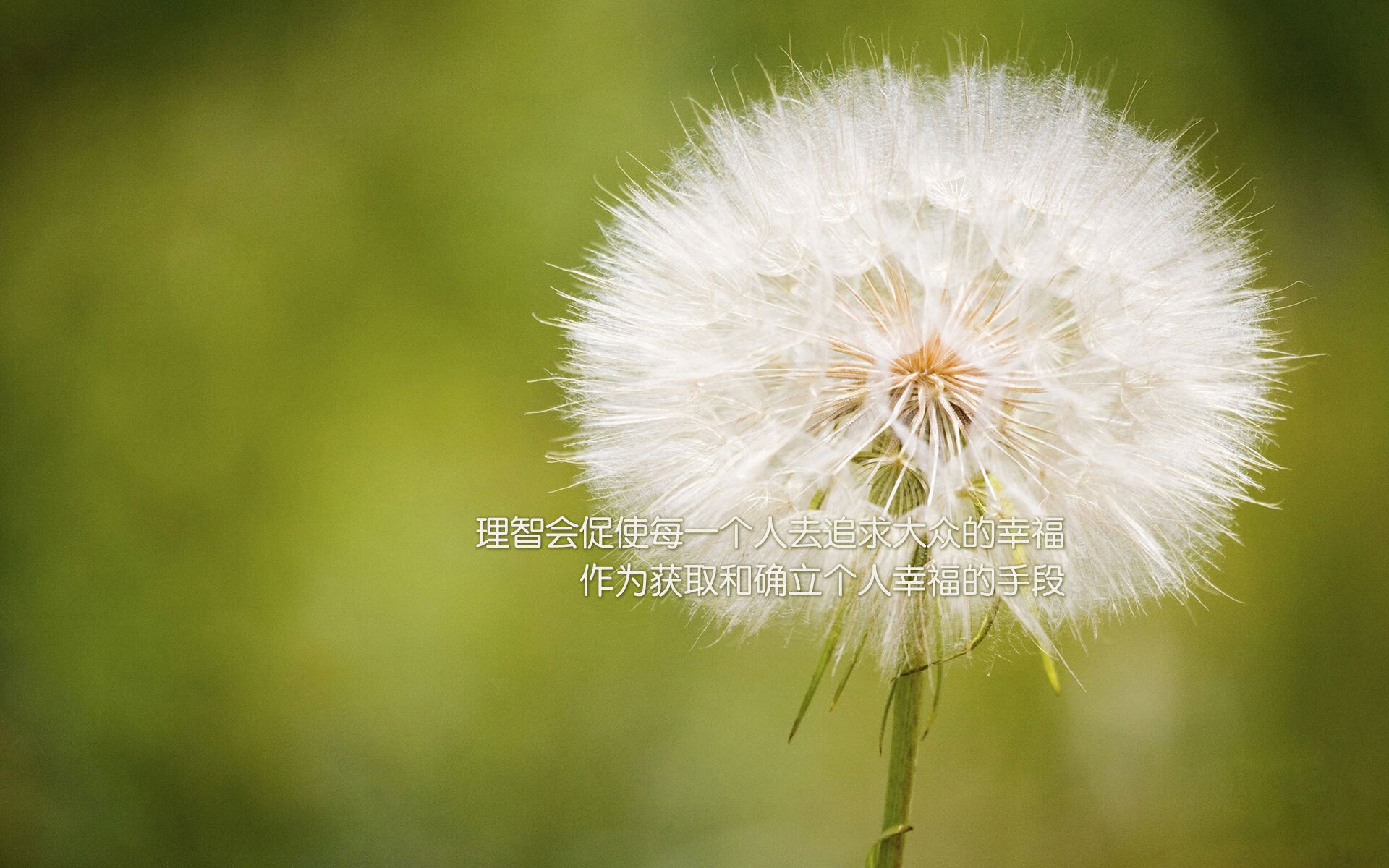 主帅要求球员提升配合，助球队迈向胜利，球队的主帅是什么意思