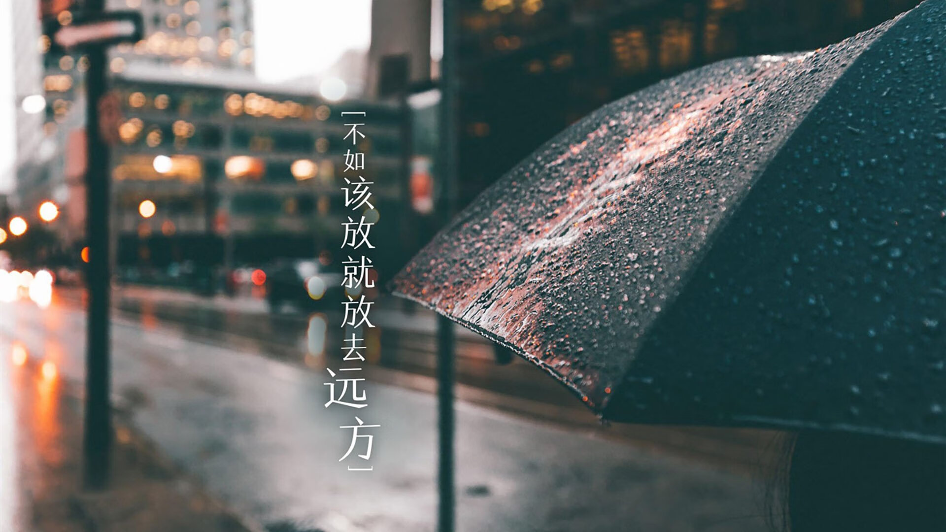 未来之星崭露头角：欧冠联赛新秀亮相，新赛季欧冠冠军