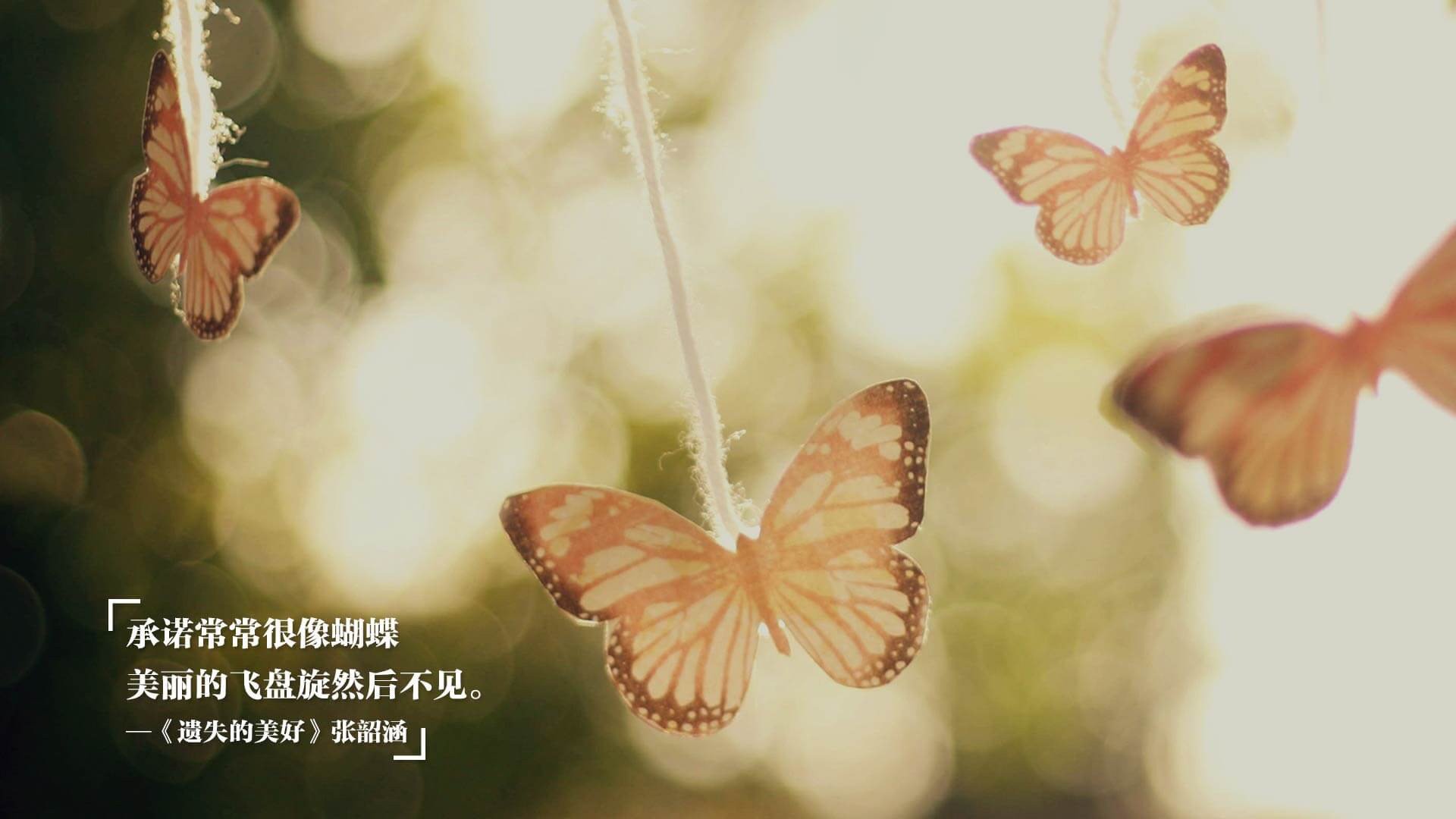 篮网赛前组织高强度热身提升实战效率，篮网公开训练合照