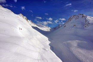 kaiyun体育综合-谷爱凌带动滑雪进校园活动升温，中国自由式滑雪选手谷爱凌介绍