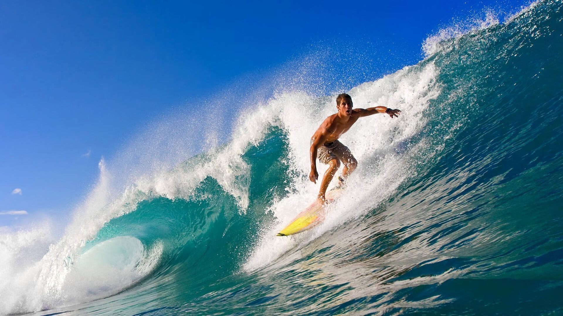 开云全站下载-“青春燃烧”青少年篮球公益演讲在上海引发共鸣，青少年篮球大赛