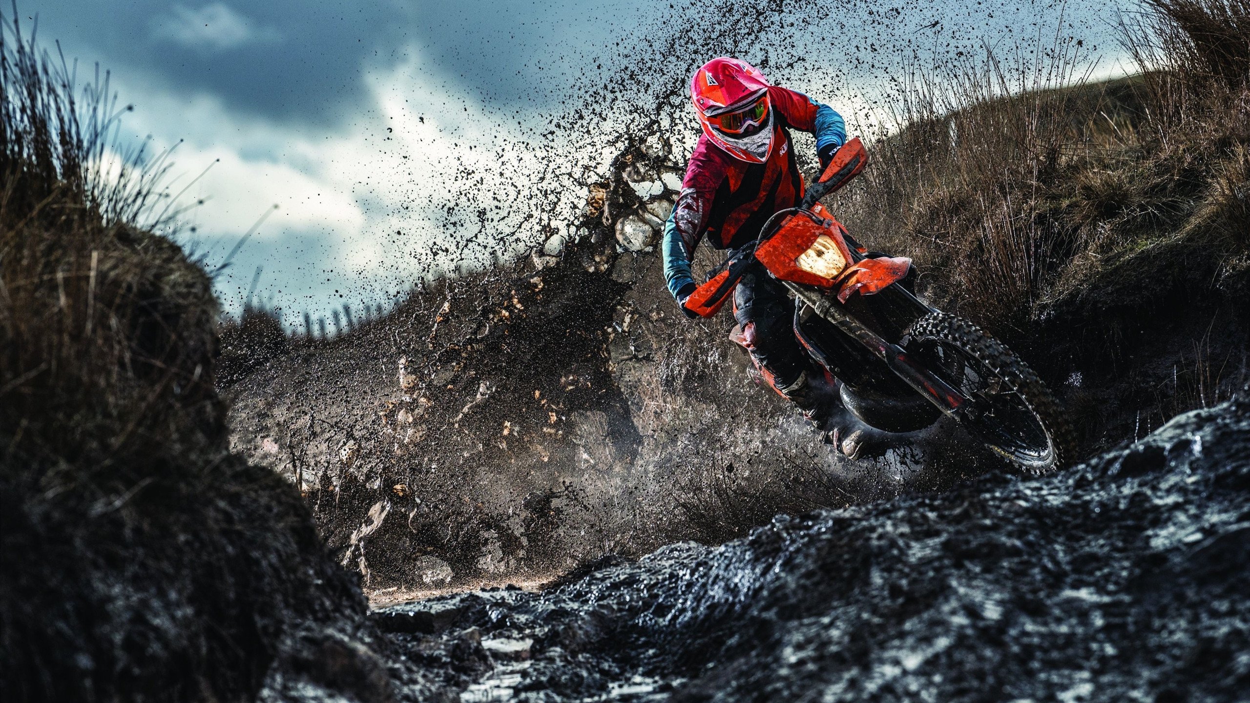 独家报道：现场志愿者的幕后故事，志愿者vlog